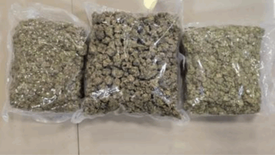 DRI seizes 72 kg of hydroponic weed worth around Rs. 72 crore in a pan-India Operation named “WeedOut”