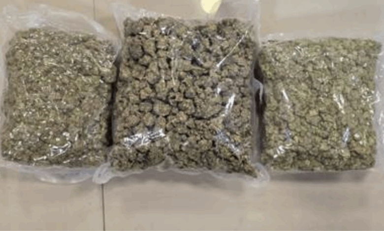DRI seizes 72 kg of hydroponic weed worth around Rs. 72 crore in a pan-India Operation named “WeedOut”