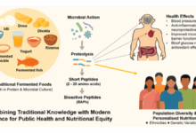 Fermented food can personalise nutrition for India's diverse population