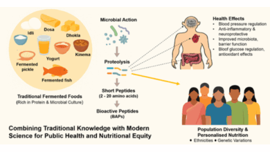 Fermented food can personalise nutrition for India's diverse population