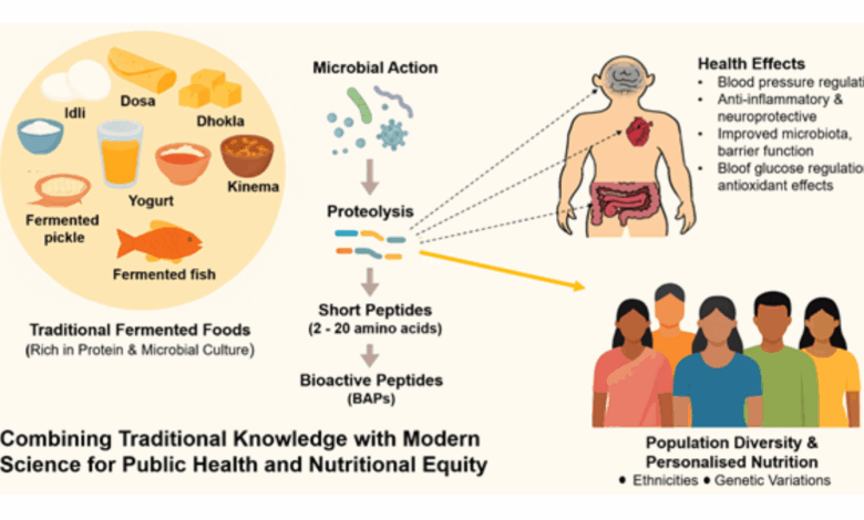 Fermented food can personalise nutrition for India's diverse population