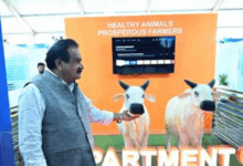 DAHD Concludes Successful Showcase at World Food India 2025; Future-Ready Dairy and Livestock Technologies Enthuse Visitors