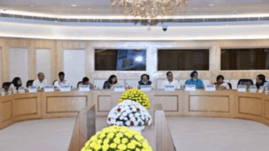 Shri J P Nadda Chairs High-Level Review Meeting on Dengue Preparedness in Delhi and NCR